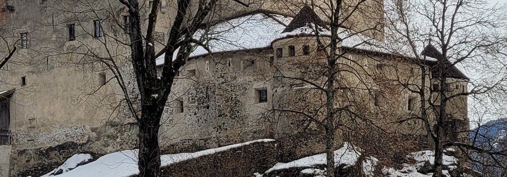2 - Detail of Bruck Castle for main image.jpg
