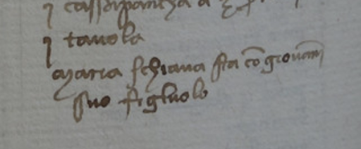 The slave Maria with her son Giovanni