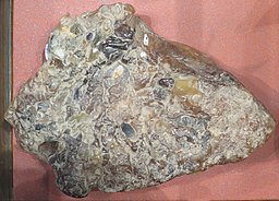 Ambergris,_Skagway_Museum.jpeg