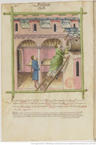 IBN_BUTLÂN_Tacuinum_sanitatis__btv1b105072169_180.jpeg