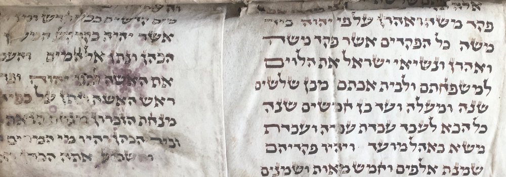 IMG_1942 detail.jpeg