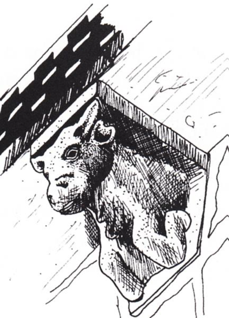 Image1.png