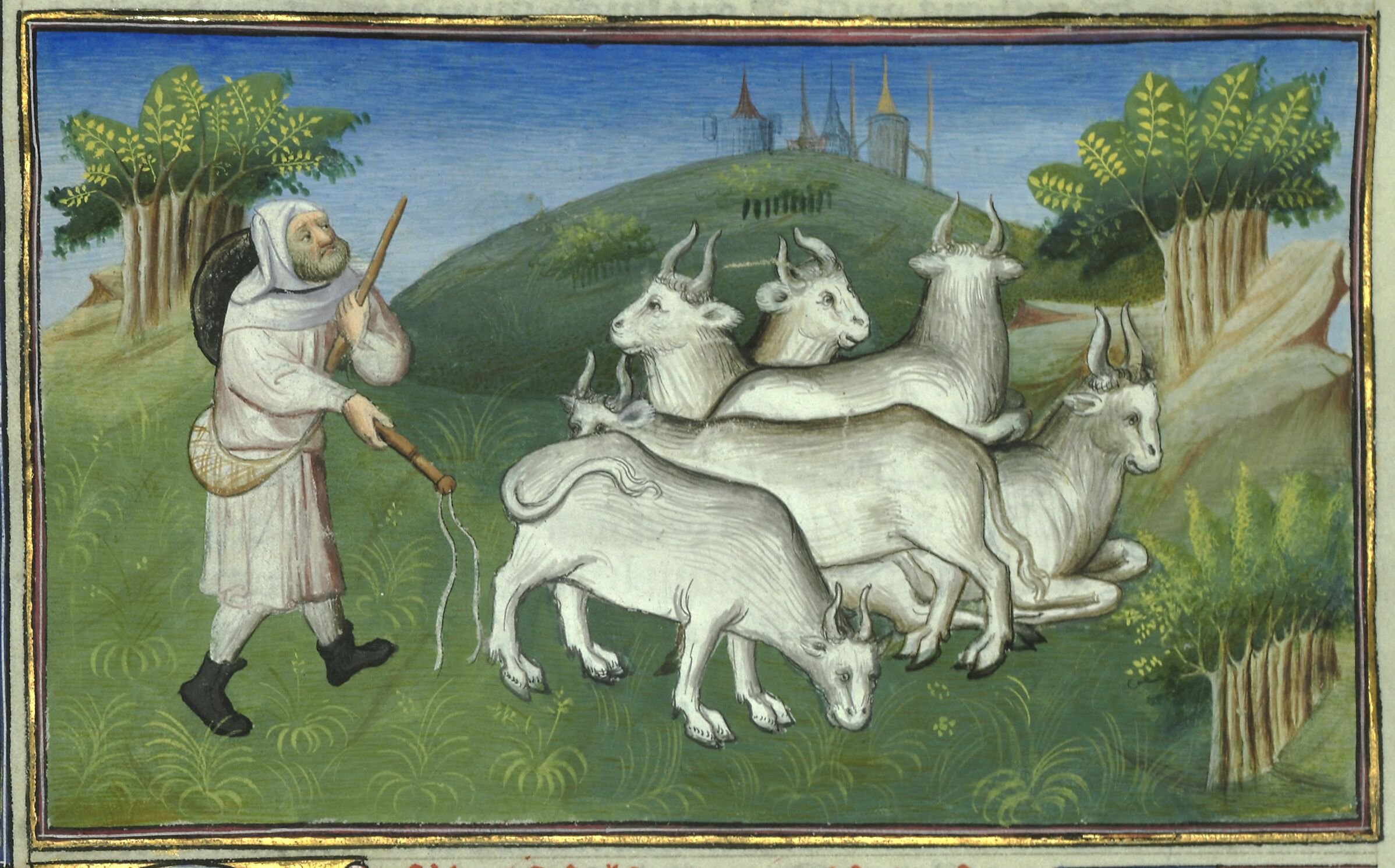 Marco_Polo_Livre_des_merveilles BNF Français 2810, f30v.jpg