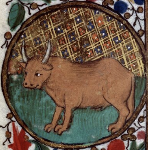 Ox.png