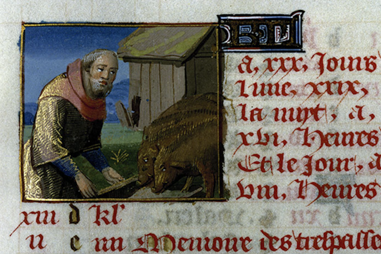 Three pigs.png
