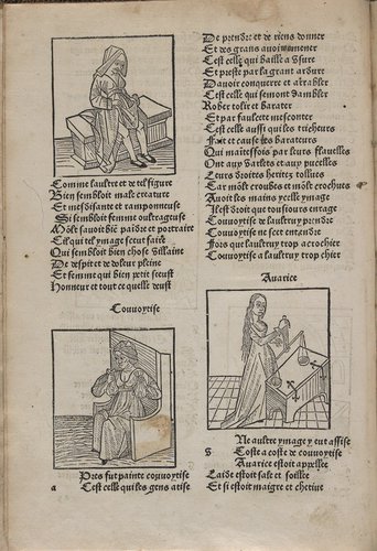 Woodcut from Le Rommant de la Rose, printed by Guillaume le Roy in Lyon, 1497. Washington, Library of Congress, Rosenwald Collection 396, f.11v..jpg