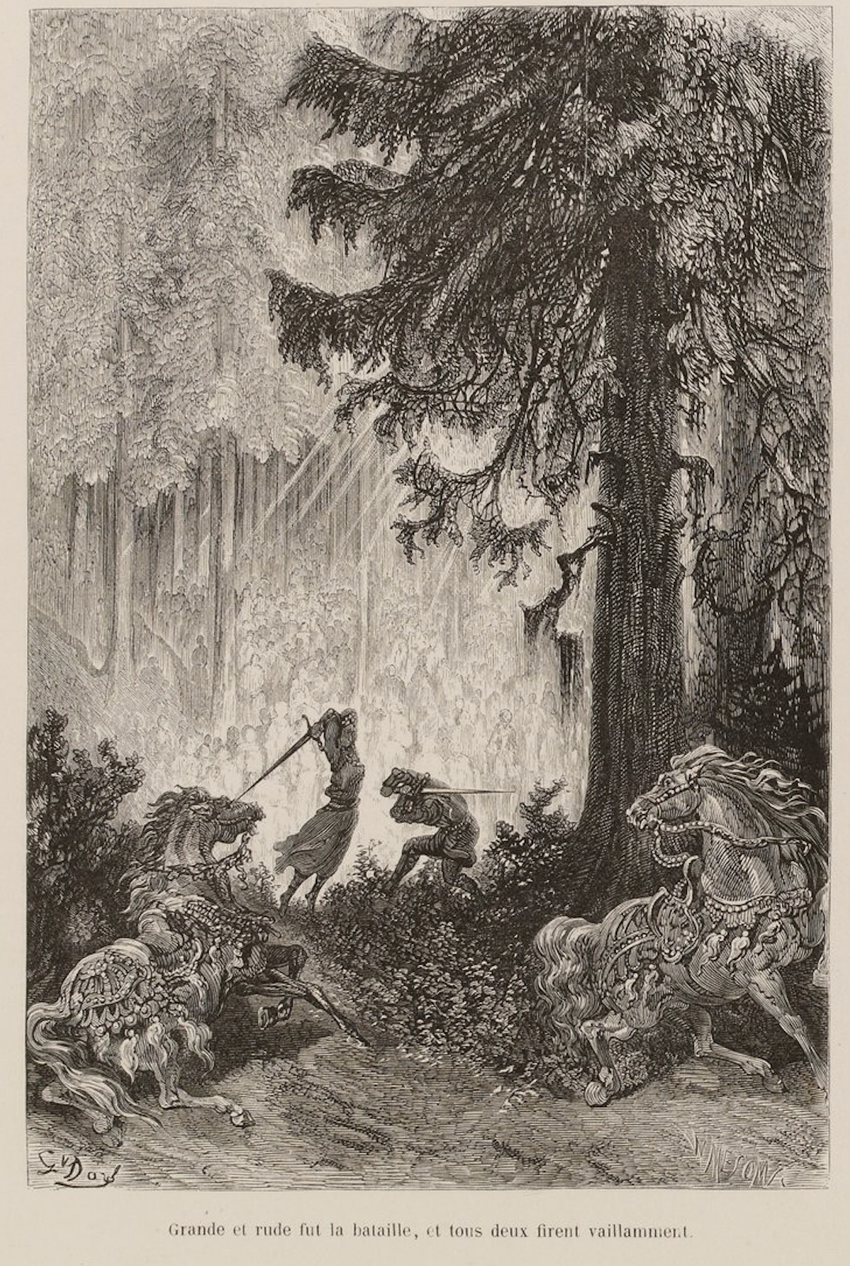 image 11.png